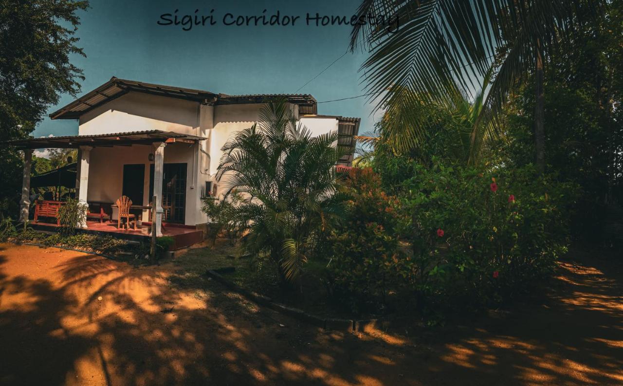 Sigiri Corridor Home Stay Сігірія Екстер'єр фото